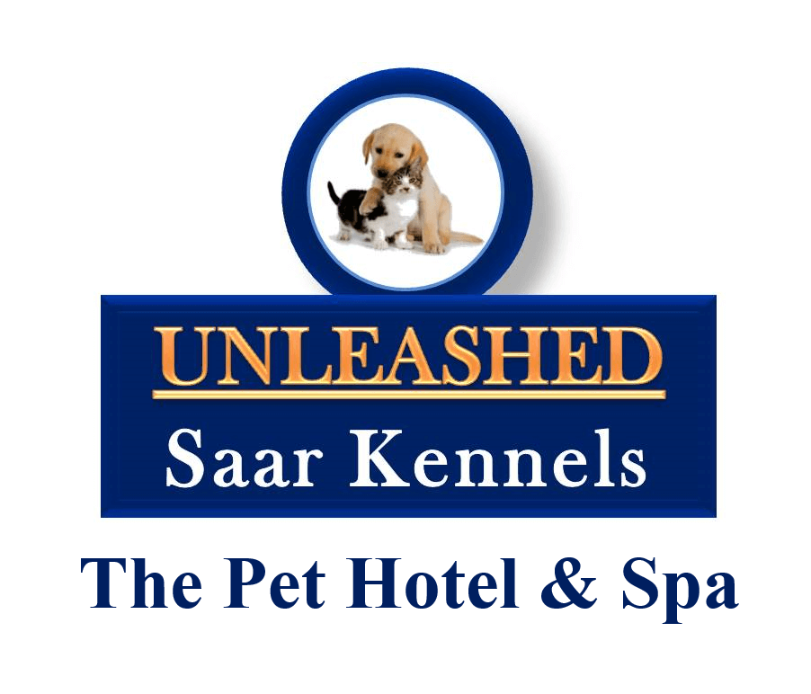Winner small image - Saar Kennels W.L.L.